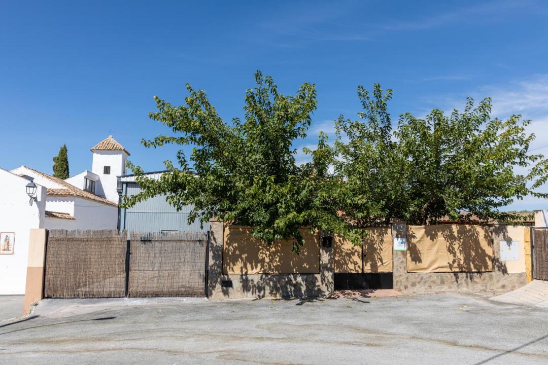 Photo of Others in Alcala la Real