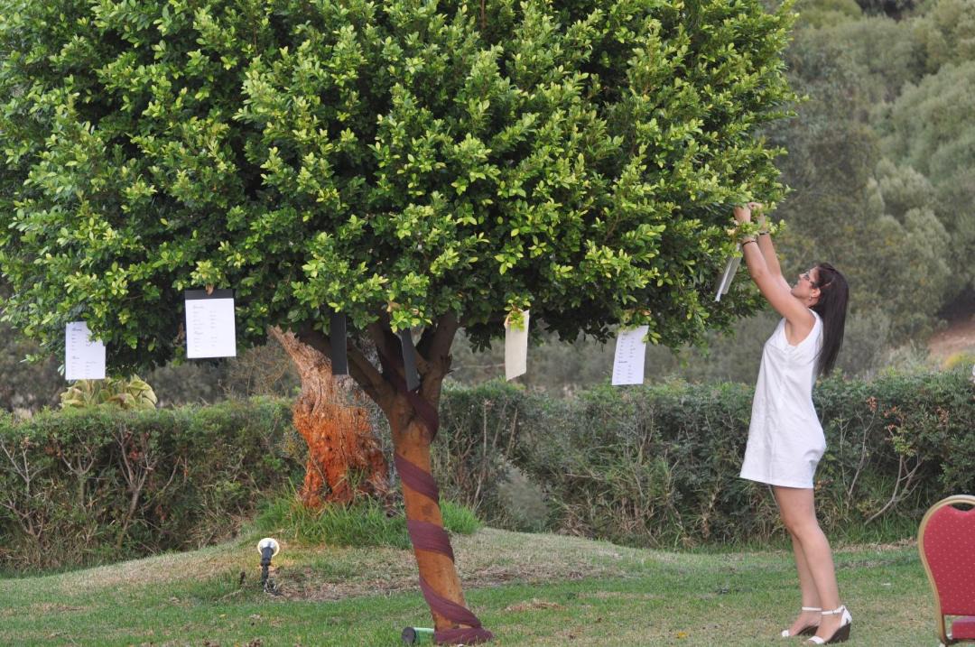 Photo of Others in San Ambrosio