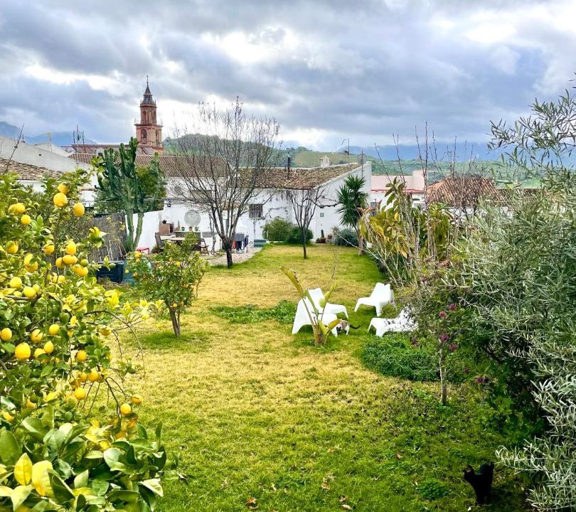 Photo of Others in Algodonales