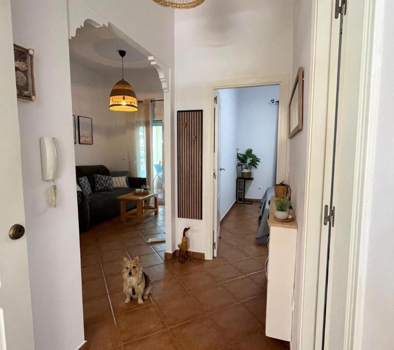 Photo of Others in Ayamonte