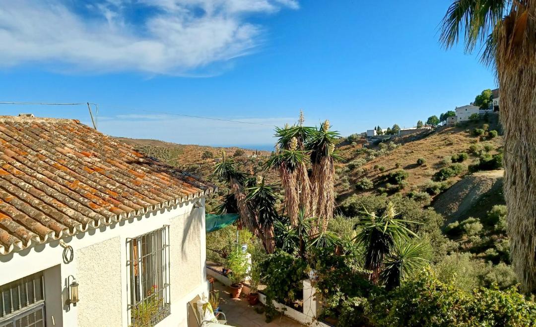 Photo of Others in Moclinejo