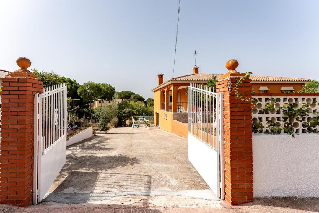 Photo of Others in Pinos de Alhaurin