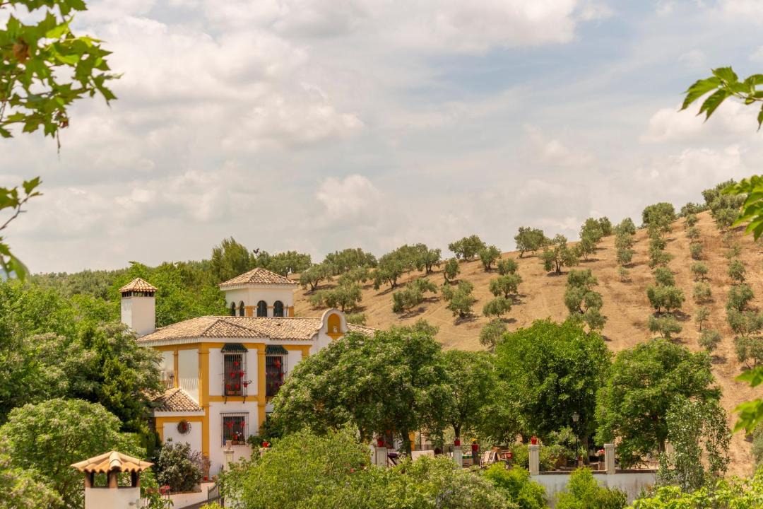 Photo of Others in Priego de Cordoba