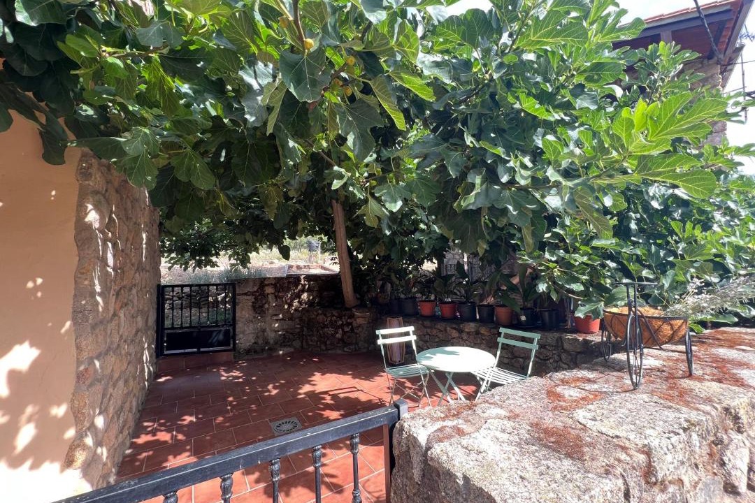 Photo of Others in Valencia de Alcantara