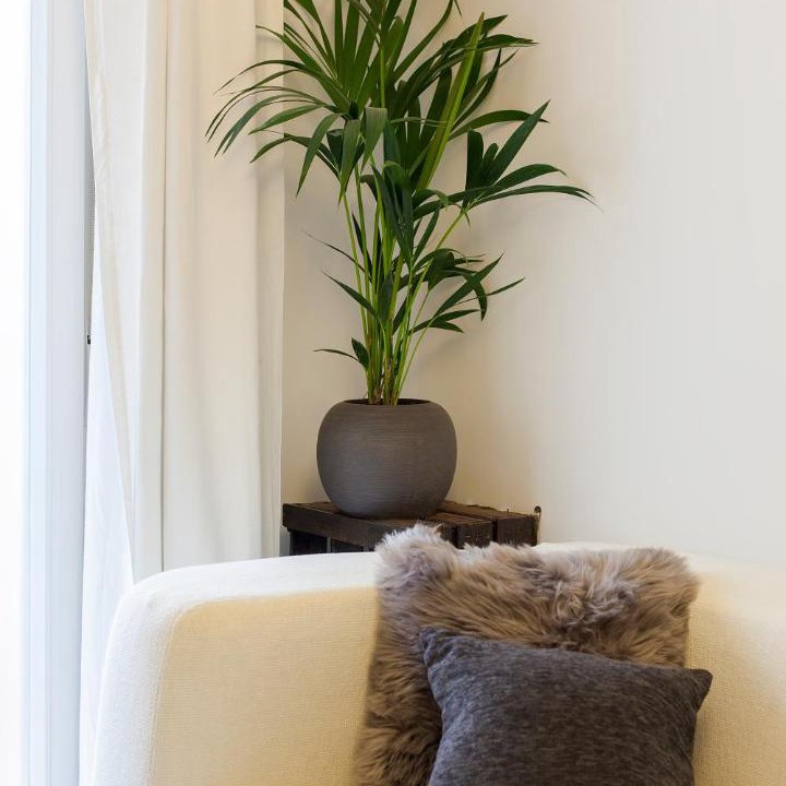 Photo of Livingroom in Zaidin
