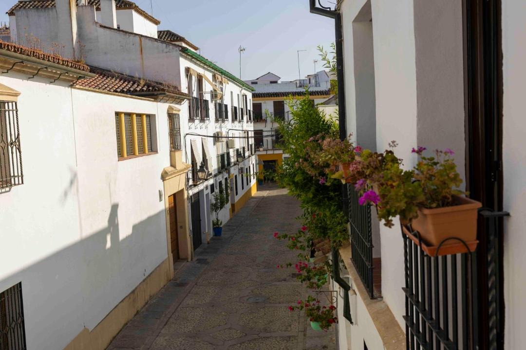 Photo of Others in San Basilio