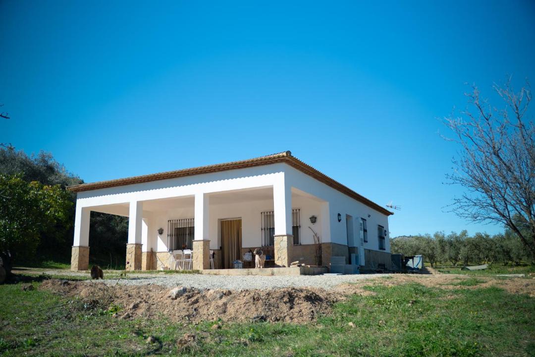 Photo of Others in Serrato
