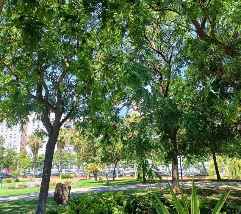 Photo of Others in Parque Ayala