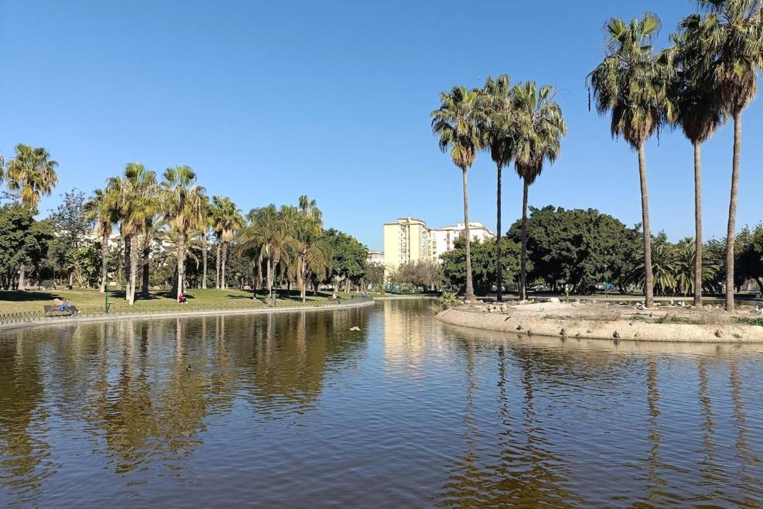 Photo of Others in Parque Ayala
