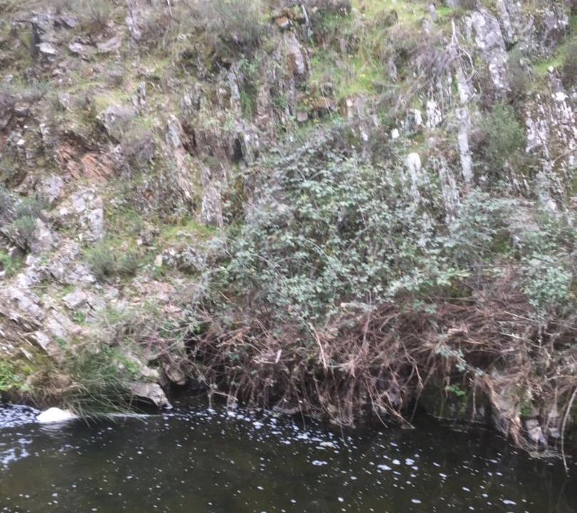 Photo of Others in Santa Olalla del Cala