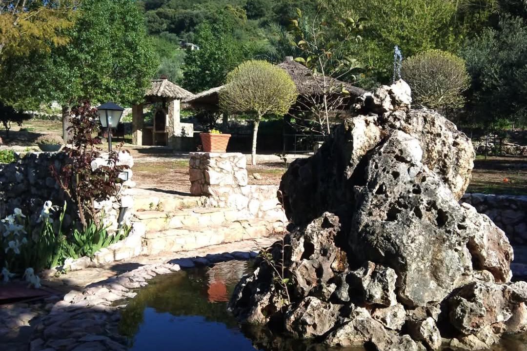 Photo of Others in Montellano
