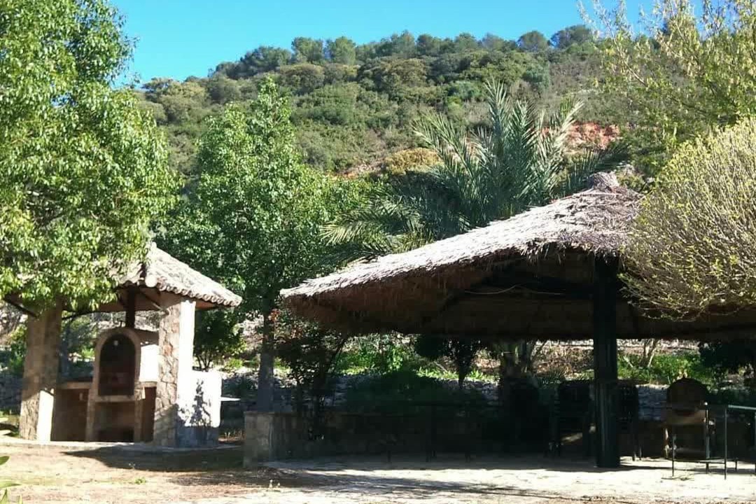 Photo of Others in Montellano
