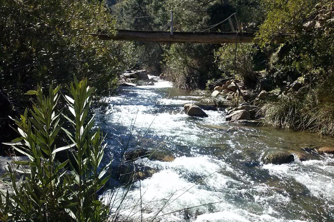 Photo of Others in Genalguacil