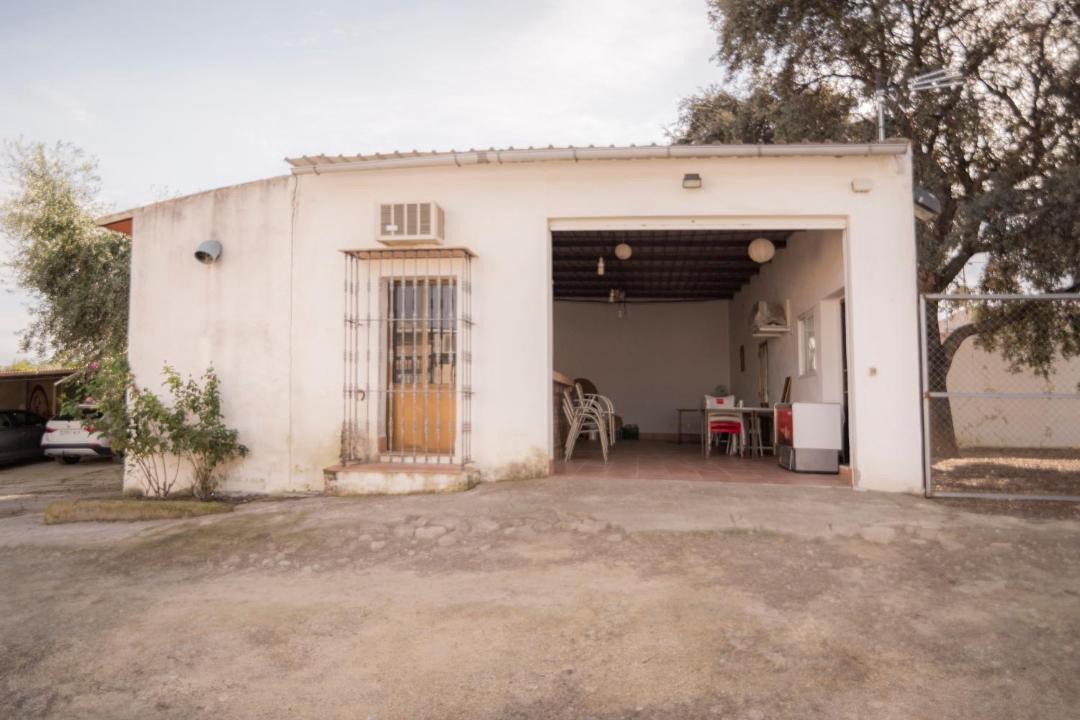 Photo of Others in Bornos