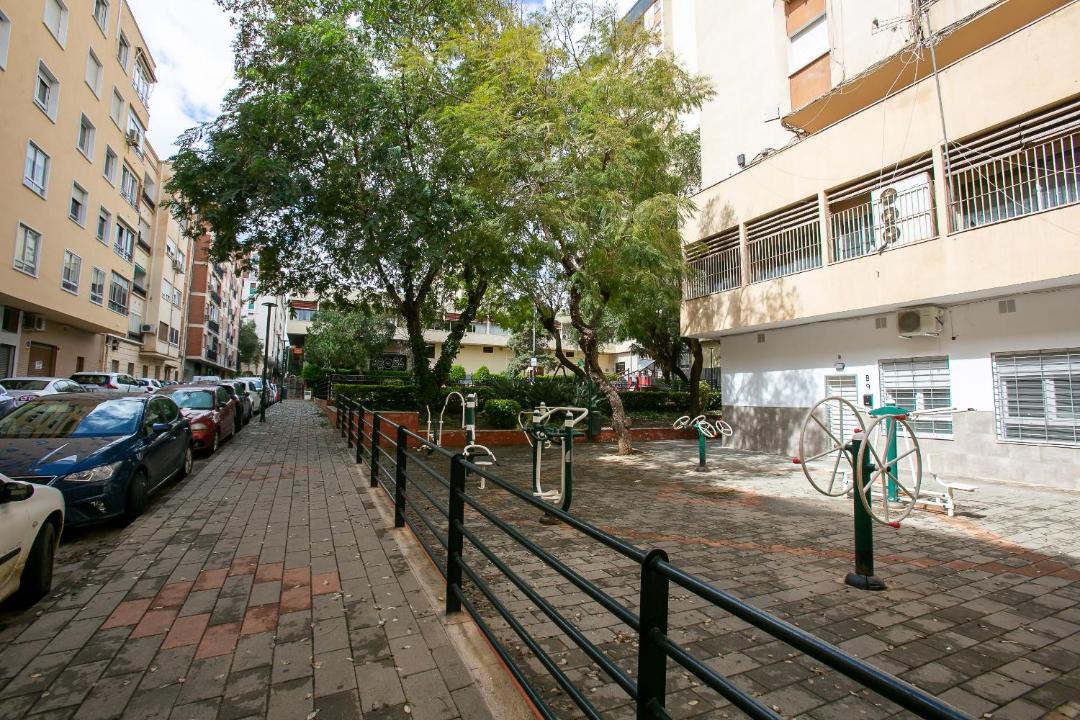 Photo of Others in Los Tilos