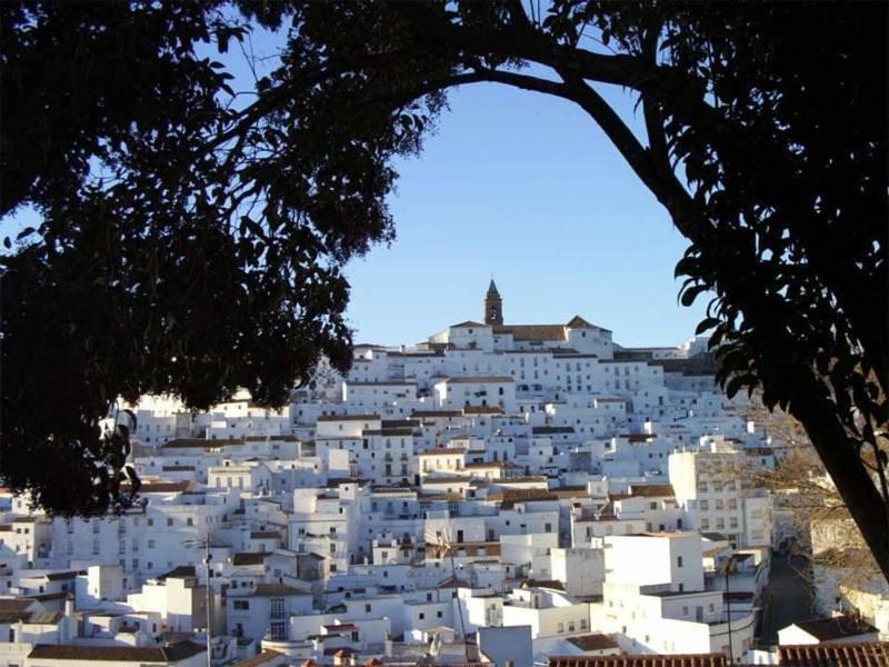 Photo of Buildings in Alcala de los Gazules