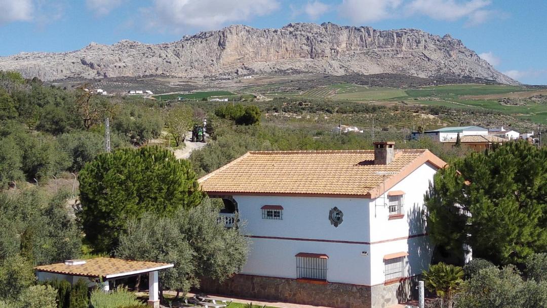 Photo of Others in Antequera