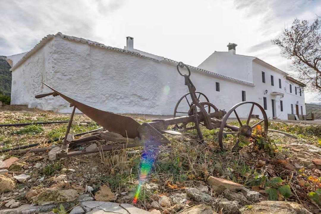 Photo of Others in Villanueva del Trabuco