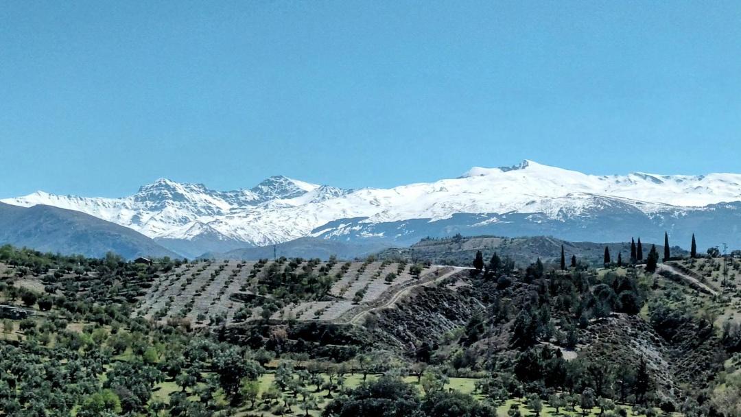 Photo of Others in Huetor Santillan