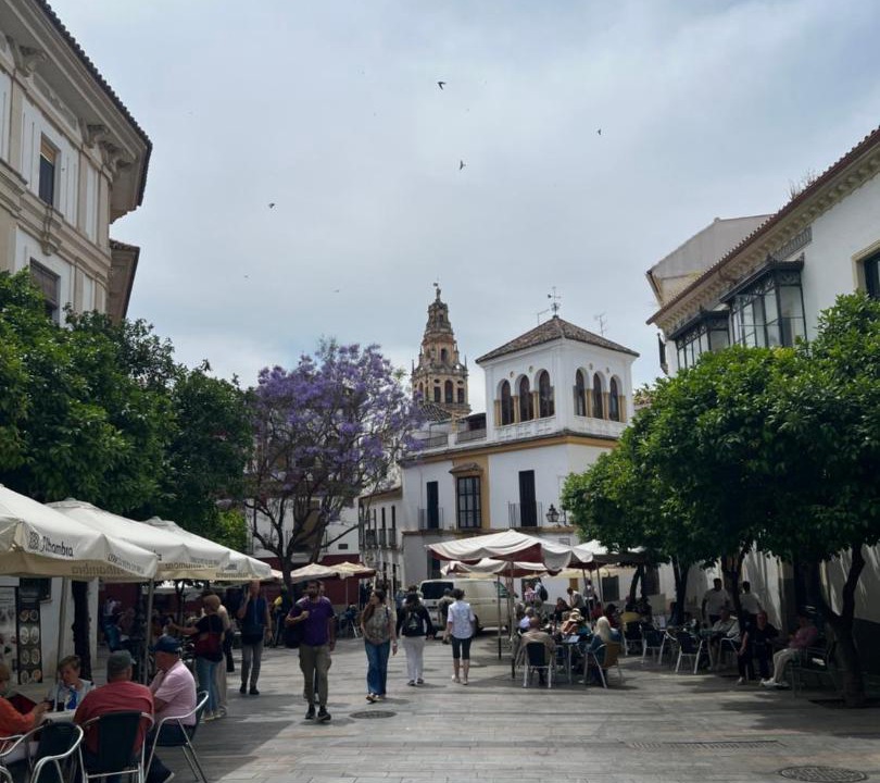 Photo of Others in La Catedral