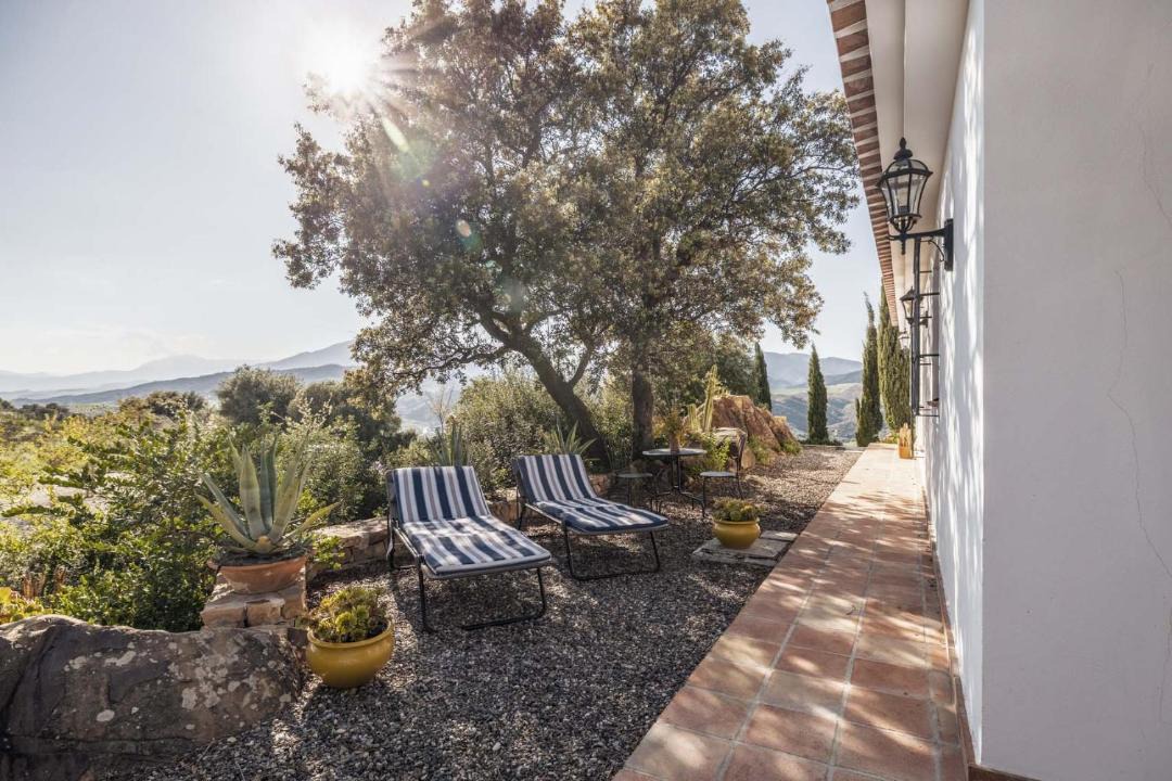 Photo of Patio Balcony in Alora
