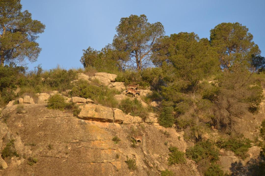 Photo of Others in Yecla