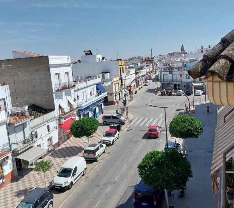 Photo of Others in Cantillana
