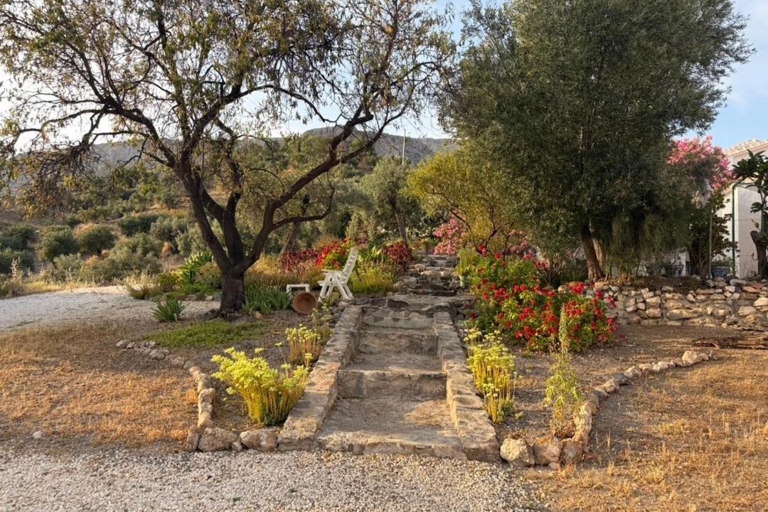 Photo of Others in El Chorro