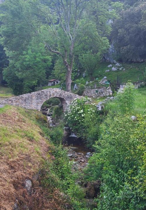 Photo of Others in Arenas de Cabrales