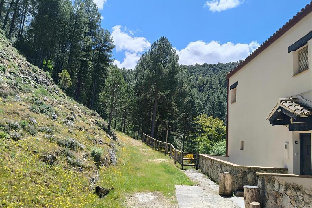 Photo of Others in Segura de la Sierra