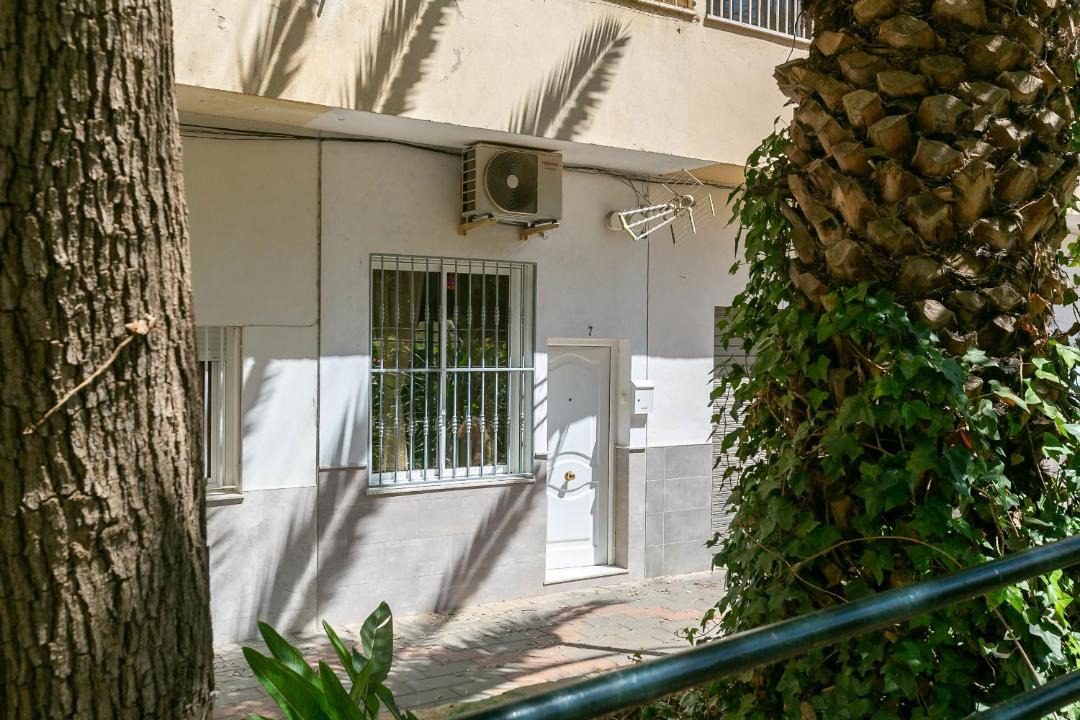 Photo of Others in Los Tilos