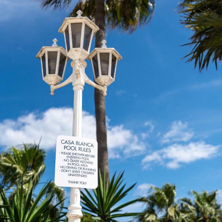 Photo of Others in Puerto de la Duquesa