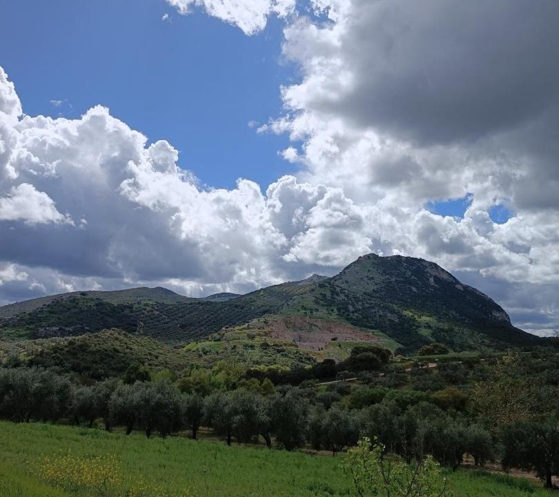 Photo of Others in Antequera