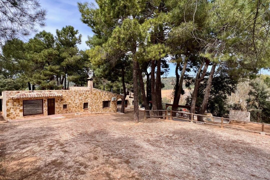 Photo of Others in Piqueras del Castillo