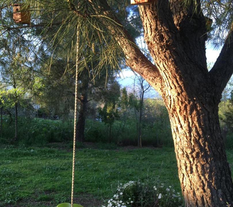 Photo of Others in Pozoblanco