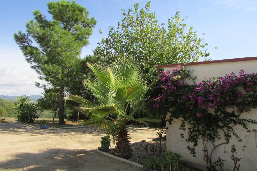 Photo of Others in Almodovar del Rio