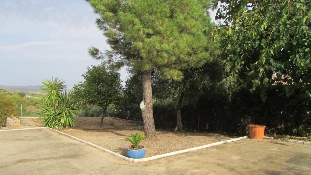 Photo of Others in Almodovar del Rio