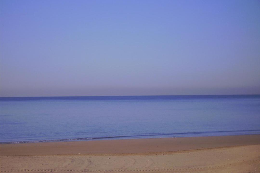 Photo of Others in Rota