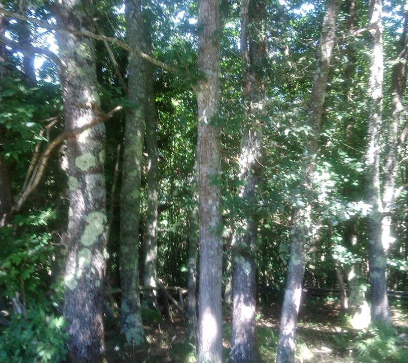 Photo of Others in Villamorey