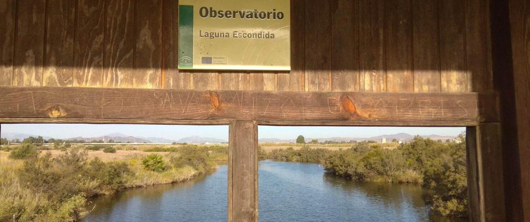 Photo of Others in Guadalmar
