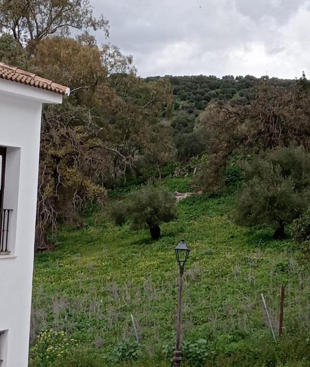 Photo of Others in El Bosque