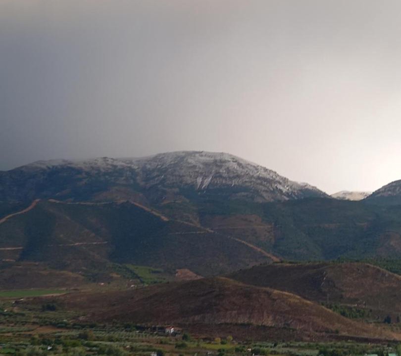 Photo of Others in Laujar de Andarax