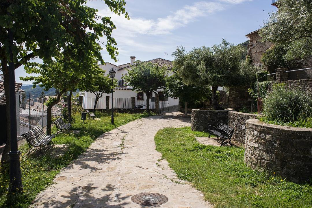 Photo of Others in Grazalema