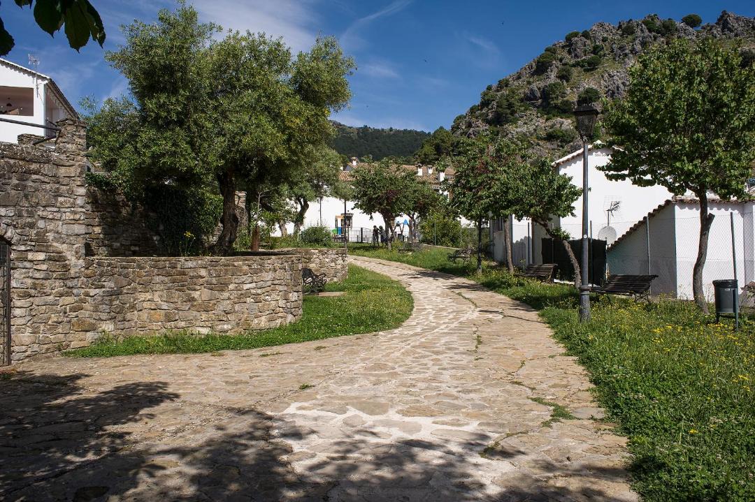 Photo of Others in Grazalema