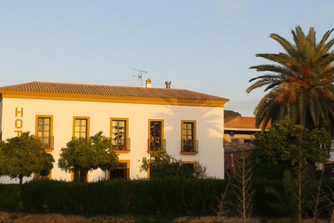 Photo of Others in Montellano