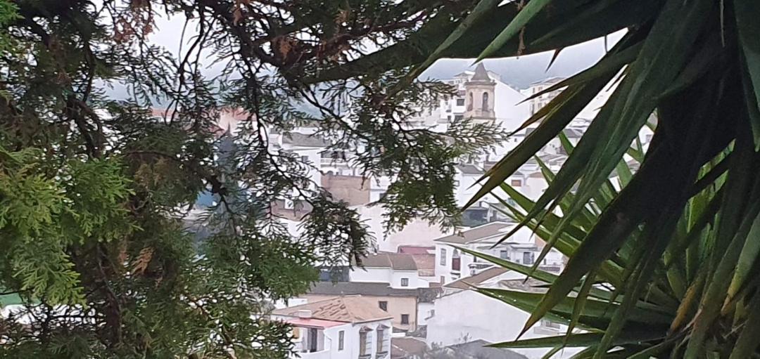 Photo of Others in Luque