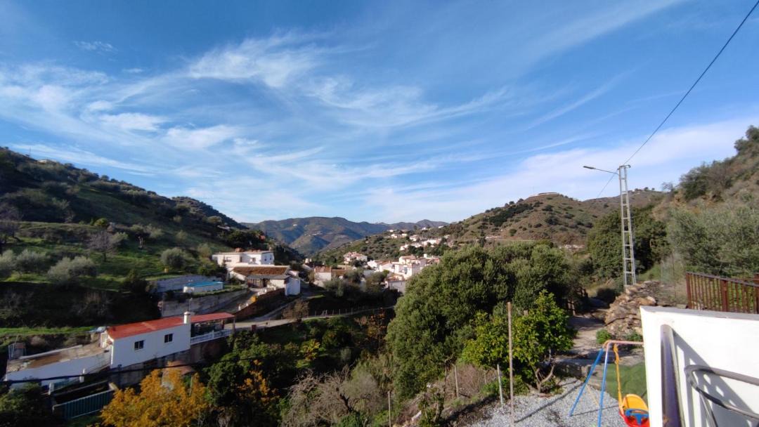 Photo of Others in Canillas de Aceituno