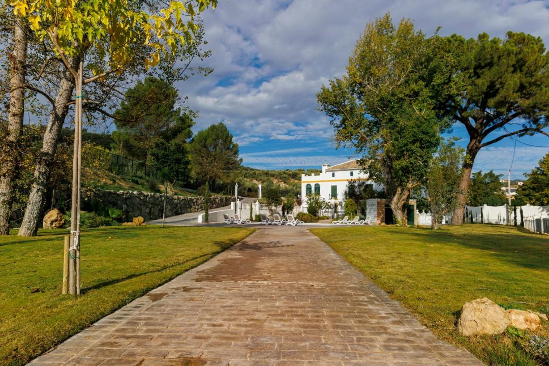 Photo of Others in Zambra