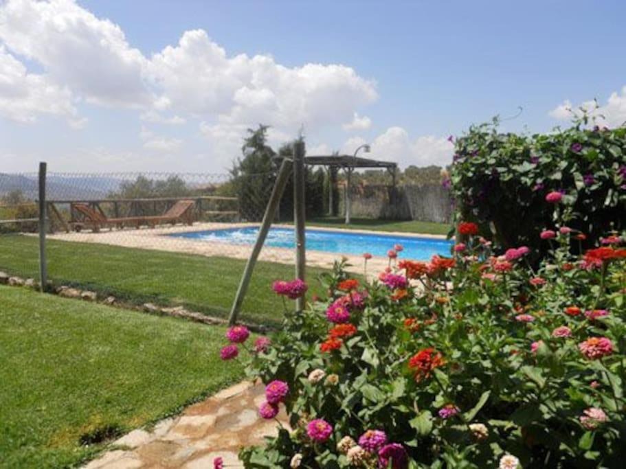 Photo of Others in Algarinejo