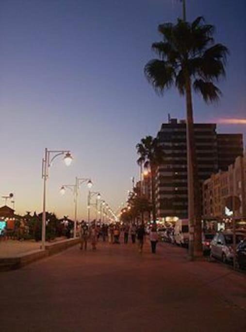 Photo of Others in Cadiz